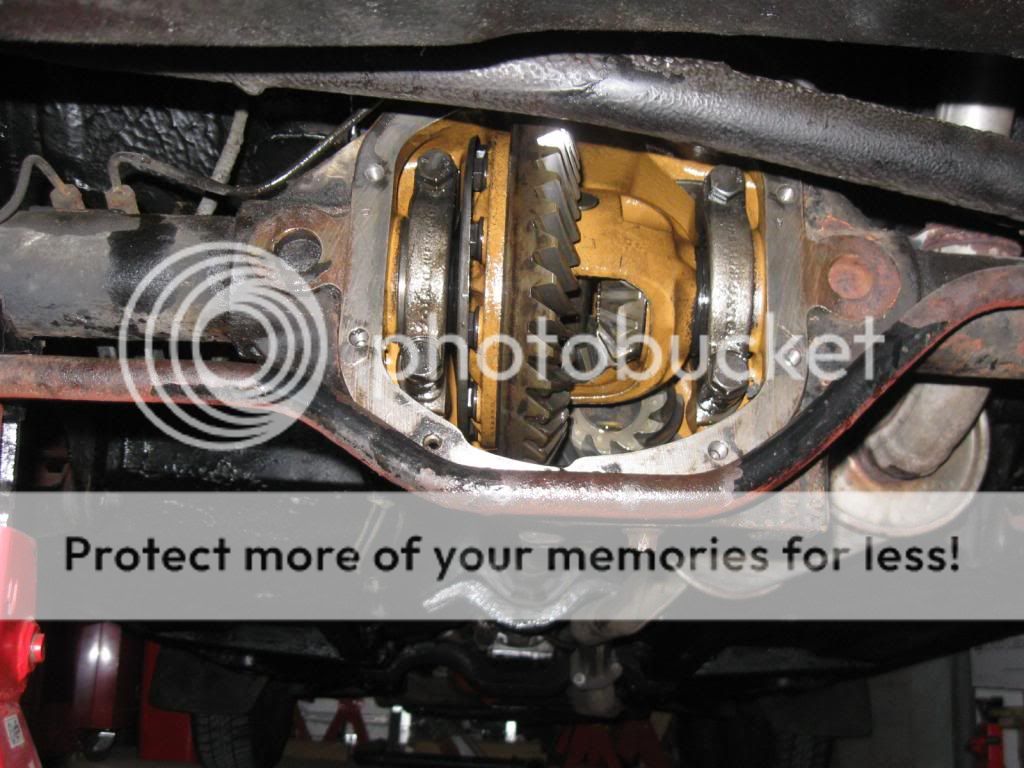 [Afbeelding: IMG_6750_zpsa171e633.jpg]