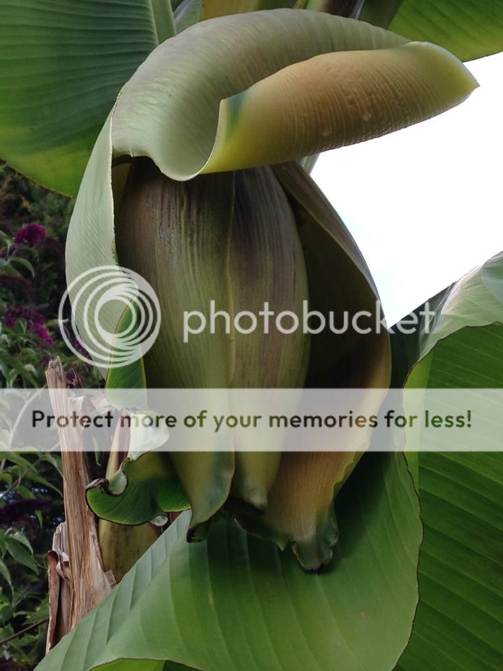 10486570_10201738024645945_3167709154417