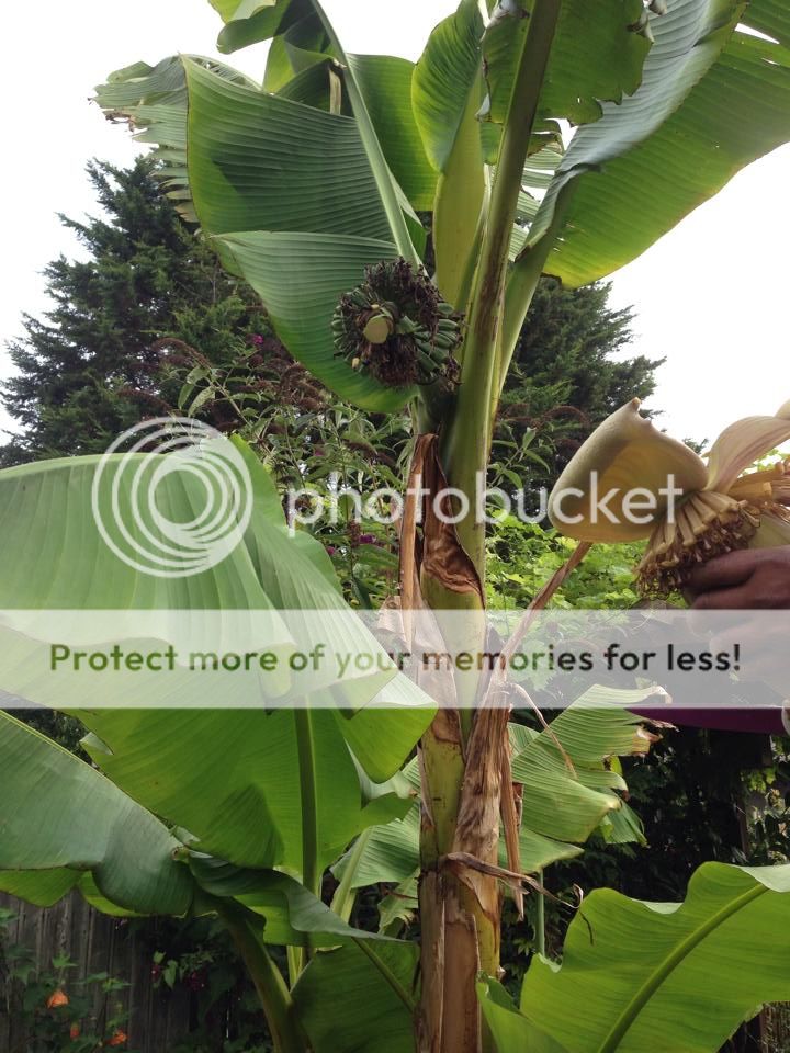 10527801_10201796046376452_4642839147545