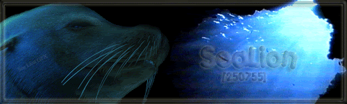 ForumAnimSLBubbles_zpsb2b0558a.gif
