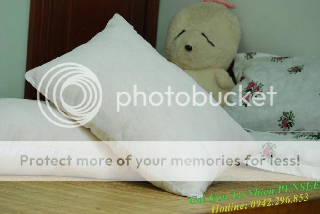 Mua ngay Gối Gòn Tự Nhiên PENSEE chỉ với 135k các Mẹ ơi - 2