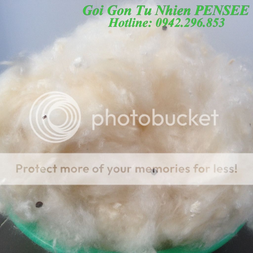 Mua ngay Gối Gòn Tự Nhiên PENSEE chỉ với 135k các Mẹ ơi - 1