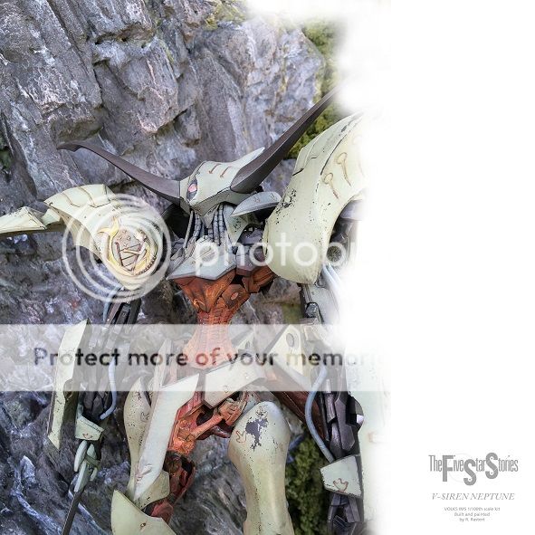 Posted Image